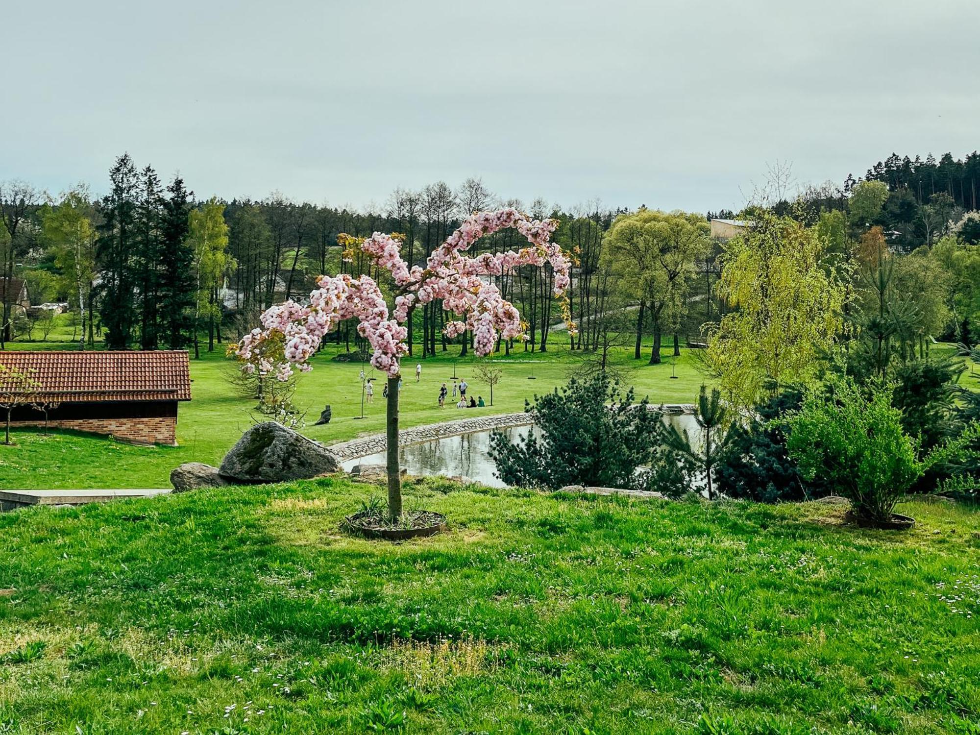 Chalupa Lodge Holiday home *